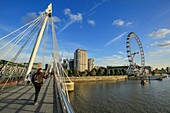 Vereinigtes Königreich, London, von der Hungerford Bridge über die Themse, London Eye, London Eye, Parlament und Big Ben