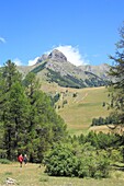 France, Hautes Alpes, Haut Champsaur, Ancelle, couple of hikers