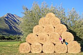 France, Hautes Alpes, Haut Champsaur, Ancelle, hiker resting in the bales of hay