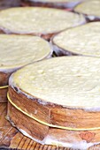 France, Hautes Alpes, Saint Bonnet en Champsaur, farm of Coste Joffre, cow cheeses circled in the cellar
