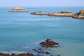 Frankreich, Ille et Vilaine, Smaragdküste, Cancale, Pointe du Grouin