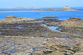 France, Ille et Vilaine, Emerald Coast, Dinard, Corniche de la Gouleaux Fees