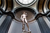 Italy, Tuscany, Florence, historic centre listed as World Heritage by UNESCO, Galleria dell 'Accademia, statue of Michelangelo's David
