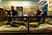 Italy, Tuscany, Florence, historic centre listed as World Heritage by UNESCO, the Museum of Specola at the Natural History Museum is the oldest scientific museum in Europe, known for its human anatomical waxes by Clemente Susini