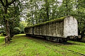 France, Landes, Commensacq, Forest of Contemporary Art, on the vast domain of the forest of Landes de Gascogne, a path punctuated with works of art to bring in resonance culture and nature, work entitled Vis Mineralis by Stéphanie Cherpin, a former railway wagon fossilized