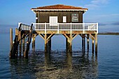 Frankreich, Gironde, Bassin d'Arcachon, La Teste de Buch, Ile aux Oiseaux, die Tchanques-Hütten