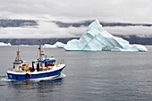 Grönland, Westküste, Uummannaq, Fischerboot beim Verlassen des Hafens und Eisberge im Hintergrund