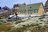 Greenland, west coast, Uummannaq, the local museum in the former town hospital