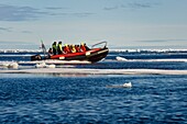 Grönland, Nordwestküste, Smith-Sund nördlich der Baffin-Bucht, abgebrochene Stücke des arktischen Meereises und ein PolarCirkel-Forschungsboot (Zodiac) des Hurtigruten-Kreuzfahrtschiffes MS Fram