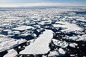 Grönland, Nordwestküste, Smith-Sund nördlich der Baffin Bay, Bruchstücke von arktischem Meereis und die kanadische Küste von Ellesmere Island im Hintergrund