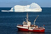 Grönland, Westküste, Baffin Bay, Upernavik, das Polizeiboot Sisak IV mit Eisberg im Hintergrund