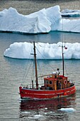 Grönland, Westküste, Diskobucht, Ilulissat, altes Fischerboot und Eisberg