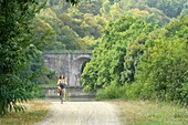Frankreich, Ille et Vilaine, Guipry-Messac, Fahrrad im bewaldeten Tal von Corbinières und das Aquädukt ferrovière, das den Fluss Vilaine überquert