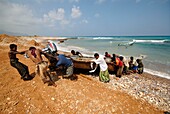 Yemen, Socotra Governorate, Socotra Island, listed as World Heritage by UNESCO, Returning Fishermen