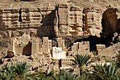 Jemen, Gouvernement Hadhramaut, Wadi Do'an, Orah, Lehmhäuser