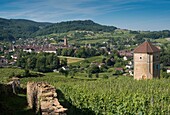 France, Jura, Arbois, general view of the city in its vineyard ecrin and the Canoz tower