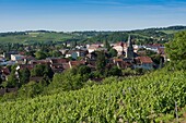 Frankreich, Jura, Gesamtansicht von Poligny, umgeben von Weinbergen