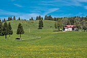 Frankreich, Jura, Les Moussieres, Landschaft des Bellecombe-Tals mit vielen Almen