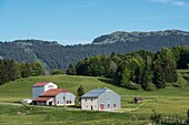 France, Jura, the village of Lajoux and Mount Colomby de Gex