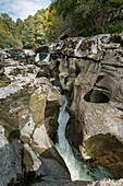 Frankreich, Ain, Bellegarde, die Verluste des Valserine ersten Flusses klassifiziert wilder Fluss von Frankreich, ein malerischer Ort