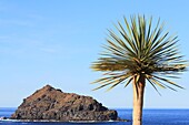 Spain, Canary Islands, Tenerife, province of Santa Cruz de Tenerife, Garachico, volcanic island