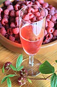 France, Hautes Pyrenees, Aure valley, Loudervielle, Fragosta (a drink inspired by the village's organic raspberry method)