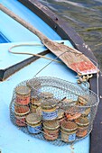 Frankreich, Indre et Loire, Loire-Tal, von der UNESCO zum Weltkulturerbe erklärt, Brehemont, Rillettes aus Wildfischen der Loire der Marke Die Loire-Fischerei, gegründet von Romain Gadais (Berufsfischer)