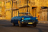 Kuba, Havanna, Stadtteil Habana Vieja, von der UNESCO zum Weltkulturerbe erklärt, altes amerikanisches Auto auf dem Malecon