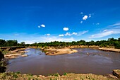 Kenia, Masai Mara Wildreservat, der Mara-Fluss