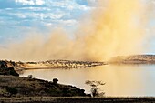 Kenya, lake Magadi, Rift valley, dust