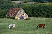France, Lot, Masclat, landscape of the Lot towards the village of Masclat