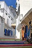 Marokko, Tanger Region Tetouan, Tanger, Katze auf Treppe mit bunten Stufen in einer Gasse der Medina