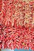 Portugal, Madeira-Insel, Funchal, Markt (Mercado dos Lavradores), Rote Paprika zu verkaufen