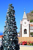 Portugal, Madeira Island, Ponta do Sol, Church of Our Lady of Light (Nossa Senhora da Luz) dating from the 15th century and a Christmas tree