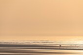 Frankreich, Somme, Somme-Bucht, La Molliere d'Aval, Cayeux sur Mer, Spaziergänger am Strand bei Sonnenuntergang