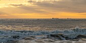 Frankreich, Pas de Calais, Opalküste, Authie Bay, Ambleteuse, Passage von Fracht- und Containerschiffen im Ärmelkanal bei Sonnenuntergang