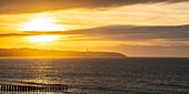 France, Pas de Calais, Opal Coast, Wissant, view of Gris Nez Cape and breakwater poles at dusk