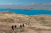 New Zealand, South Island, Canterbury region, hikers at Tekapo lake