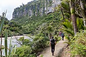 New Zealand, South Island, West Coast region, Pororari River