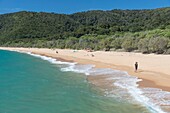 Neuseeland, Südinsel, Tasmanische Region, Abel Tasman National Park, Kaiteriteri