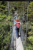 New Zealand, South Island, Tasman region, Abel Tasman National Park, hikers on Abel Tasman track, Kaiteriteri