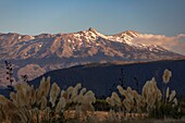 Neuseeland, Nordinsel, Waikato-Region, Tongariro-Nationalpark, Unesco-Welterbe, Berg Ruapehu 2797 m