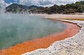 New Zealand, North Island, Waikato region, Taupo Volcanic Zone, Wai-O-Tapu Geothermal Park, Champagne Pool