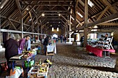 Frankreich, Calvados, Pays d'Auge, Saint Pierre sur Dives, Verkauf von Obst und Gemüse unter der Markthalle aus dem 11. Jahrhundert, die im 15. Jahrhundert umgebaut wurde