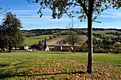 Frankreich, Orne, Pays d'Auge, Dorf Camembert