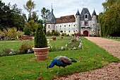 Frankreich, Calvados, Pays d'Auge, Schloss Saint Germain de Livet aus dem 15. und 16. Jahrhundert, beschriftet mit Museum of France