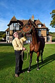 France, Calvados, Pays d'Auge, Beuvron en Auge, labelled Les Plus Beaux Villages de France (The Most Beautiful Villages of France), Manor of the Haras de Sens, the owner Philippe David with his horse Gold of Padd (son of the stallion Ready Cash)