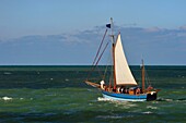 Frankreich, Seine Maritime, Pays de Caux, Cote d'Albatre, Fecamp, auf See an Bord des alten Segelschiffs Tante Fine