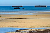 Frankreich, Calvados, Arromanches les Bains, Überreste von Mulberry B, Port Winston, Phoenix-Wellenbrecher