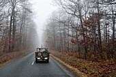 Frankreich, Eure, Chambray, Allied Reconstitution Group (US World War 2 und französischer Verein für historische Rekonstruktion des Maquis), Fahrt mit Jeep Willys